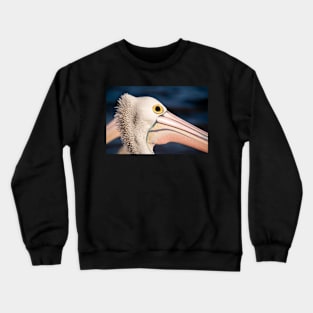 Pelican Portrait, Golden Beach Caloundra Crewneck Sweatshirt